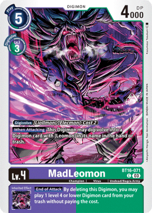 MadLeomon — Beginning Observer