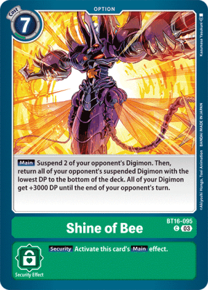 Shine of Bee — Beginning Observer