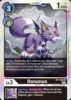 Dorumon — Beginning Observer