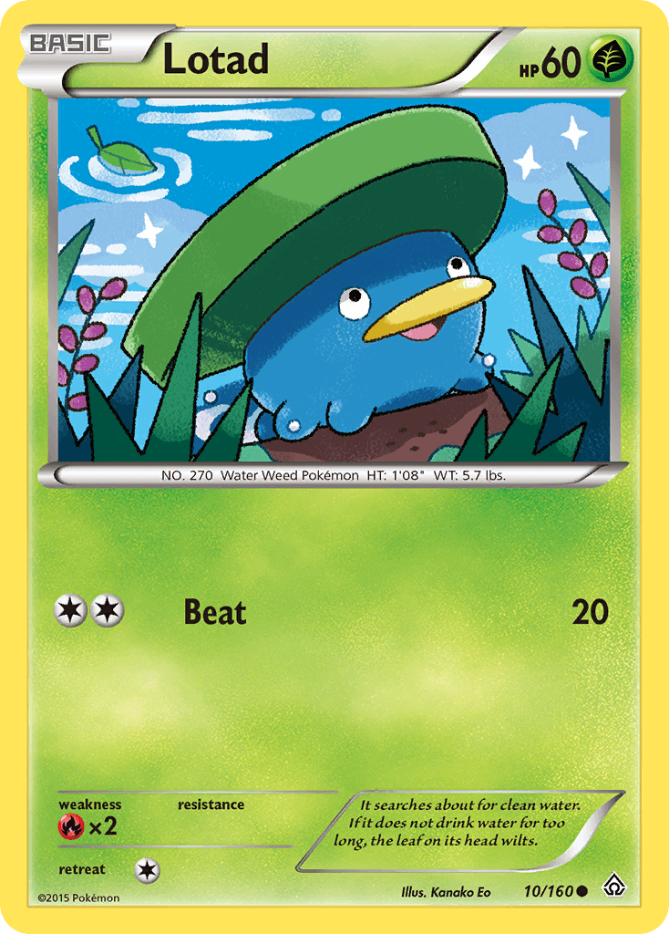 Lotad — XY - Primal Clash Pokémon TCG card by Kanako Eo