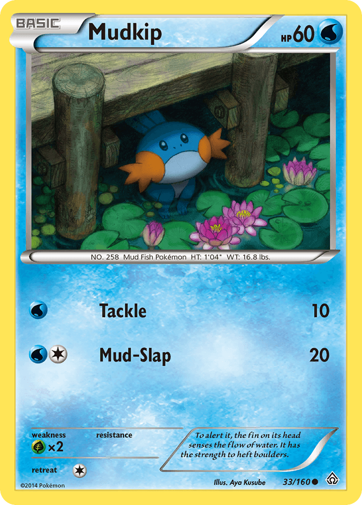 Mudkip — XY - Primal Clash Pokémon TCG card by Aya Kusube