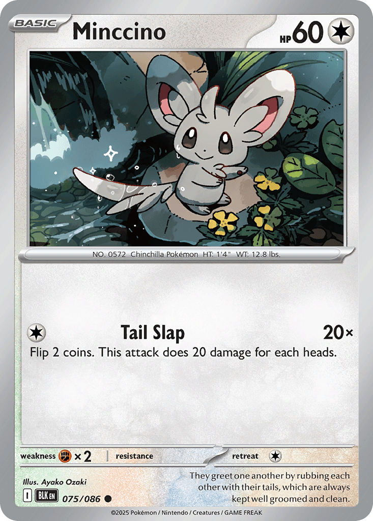 Minccino (Master Ball Pattern) — SV: Black Bolt