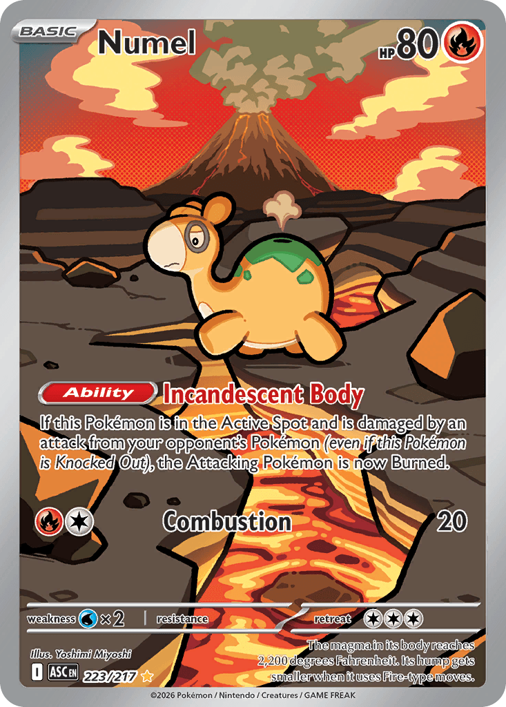 Numel - 223/217 — ME: Ascended Heroes Pokémon TCG card by Yoshimi Miyoshi