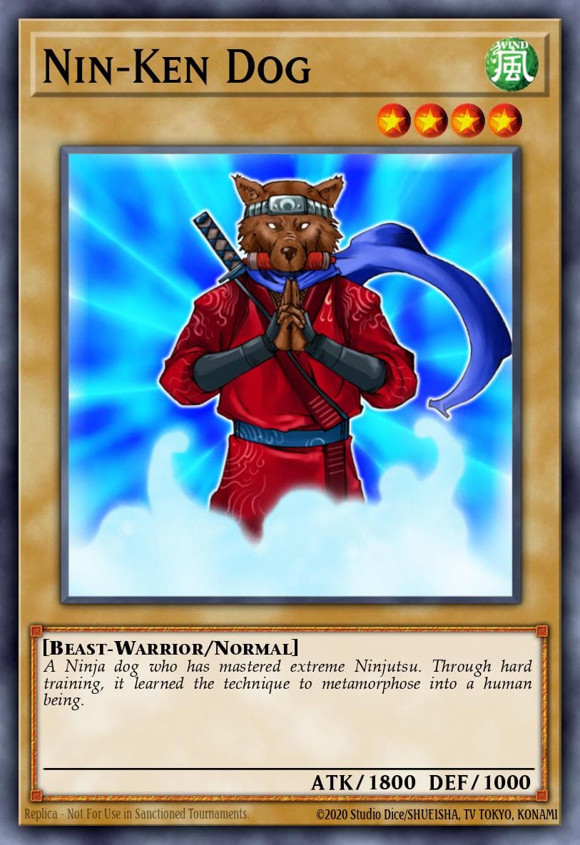 Nin-Ken Dog — Dark Crisis (25th Anniversary Edition)