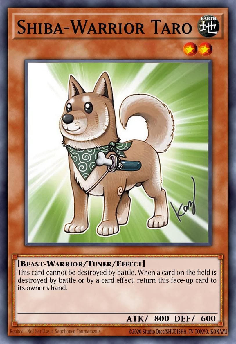 Shiba-Warrior Taro — Anniversary Pack