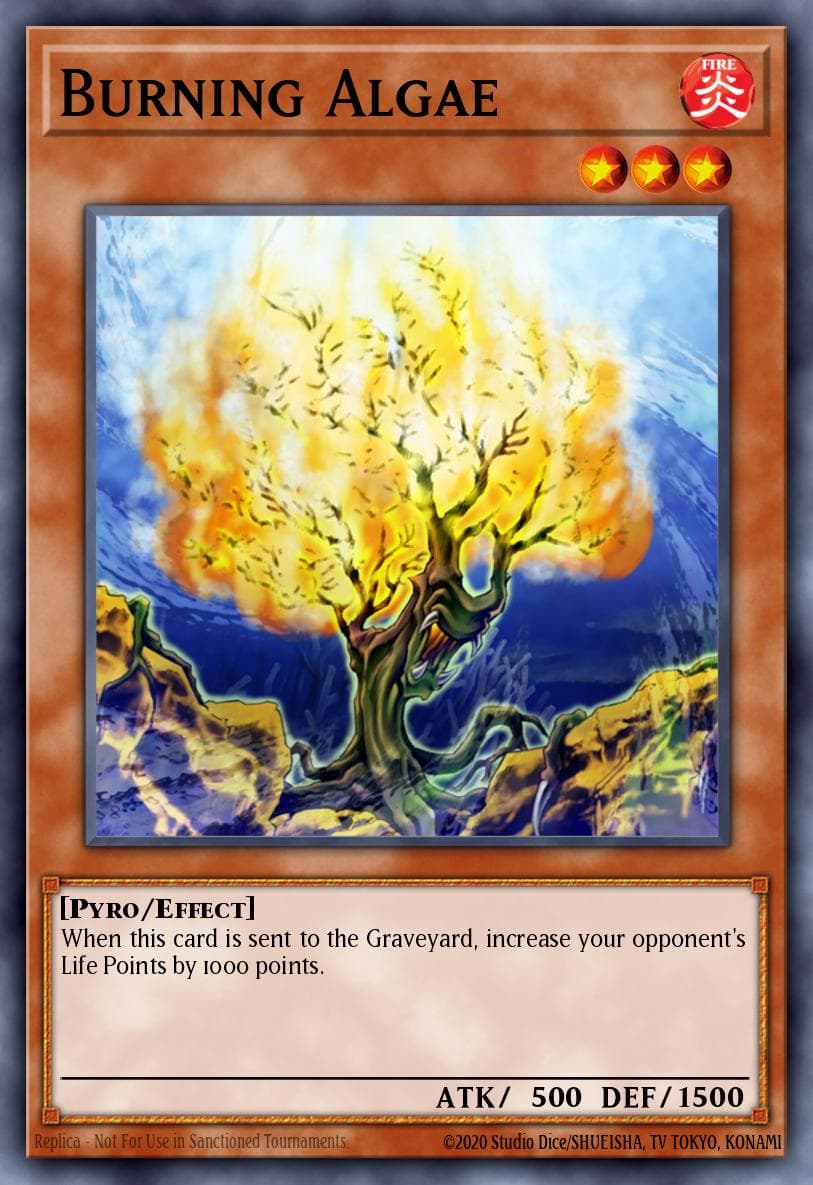 Burning Algae — Dark Revelation Volume 2 Yu-Gi-Oh! card by KAZUKI TAKAHASHI