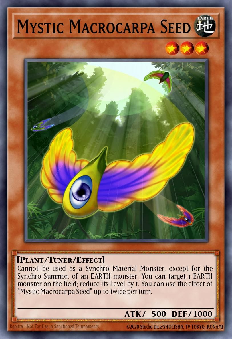 Mystic Macrocarpa Seed — Legacy of the Valiant