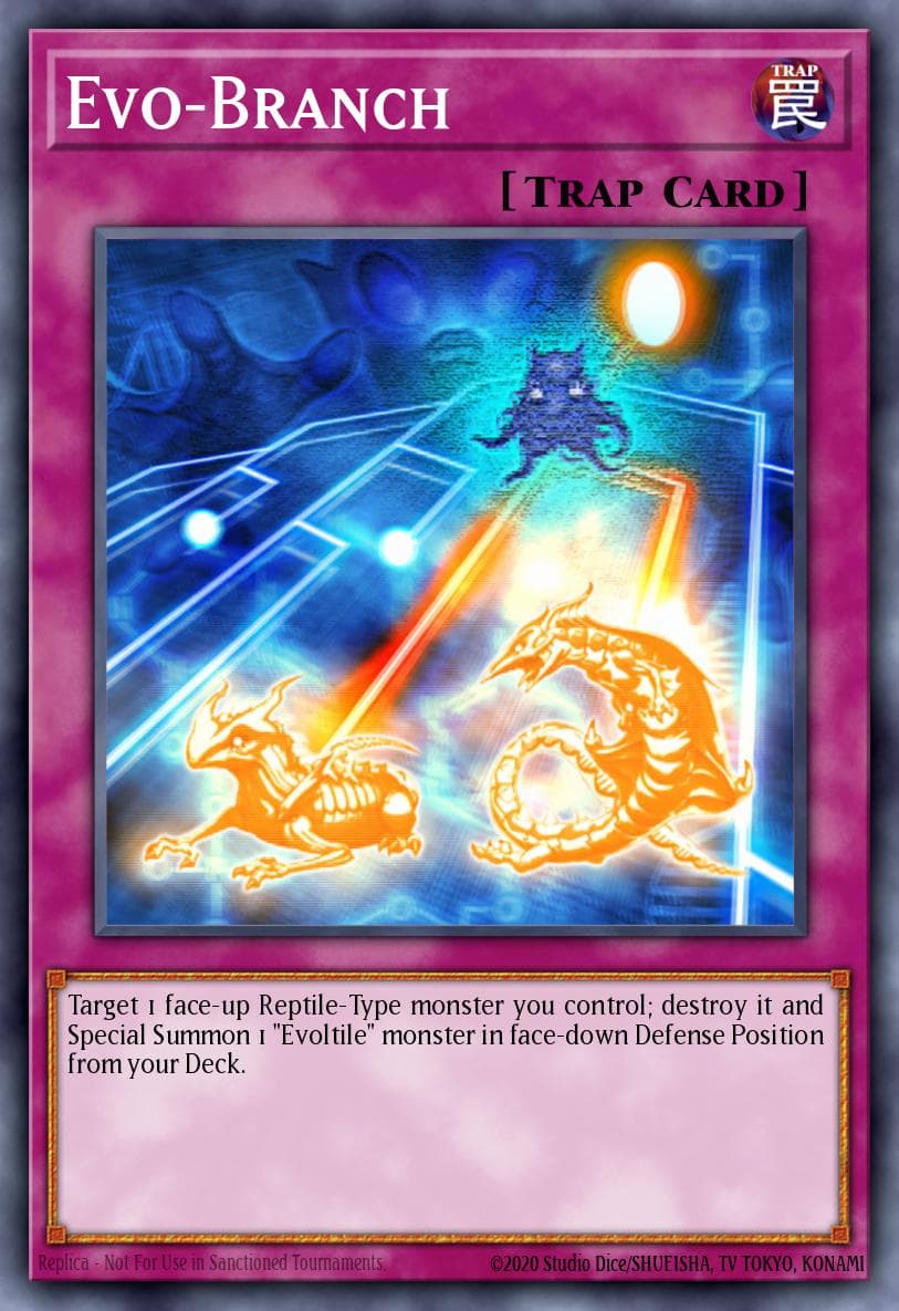 Evo-Branch — Order of Chaos