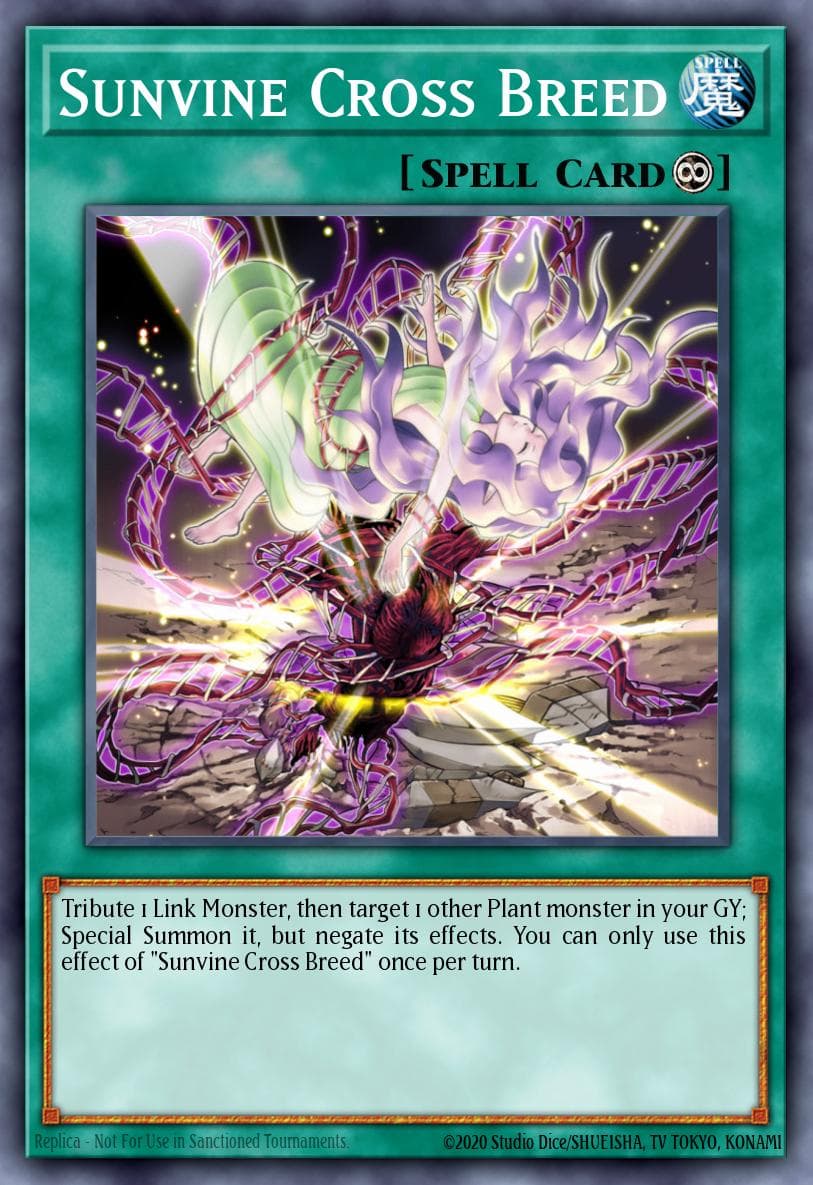 Sunvine Cross Breed — 2022 Tin of the Pharaoh's Gods