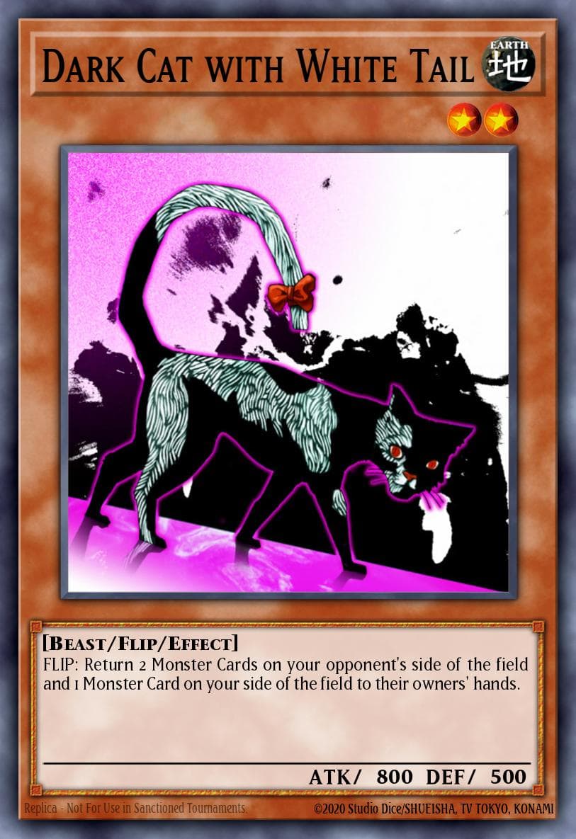 Dark Cat with White Tail — Dark Revelation Volume 1 Yu-Gi-Oh! card by KAZUKI TAKAHASHI
