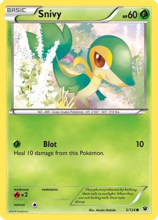 Snivy — XY - Fates Collide Pokémon TCG card by Ken Sugimori