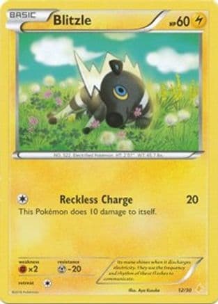 Blitzle (12) — XY Trainer Kit: Pikachu Libre & Suicune Pokémon TCG card by Aya Kusube