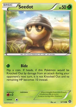 Seedot — XY - Steam Siege Pokémon TCG card by sui