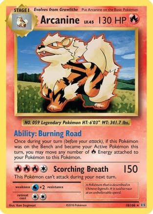 Arcanine — XY - Evolutions Pokémon TCG card by Ken Sugimori