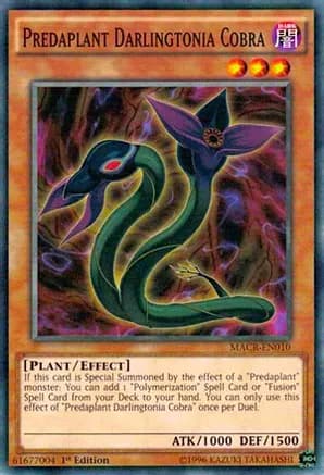 Predaplant Darlingtonia Cobra — Maximum Crisis