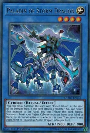Paladin of Storm Dragon — Cybernetic Horizon