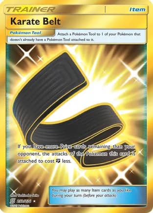 Karate Belt (Secret) — SM - Unified Minds