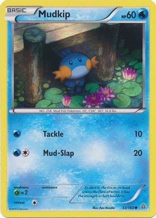 Mudkip - 33/160 (Sheen Holo) — Miscellaneous Cards & Products