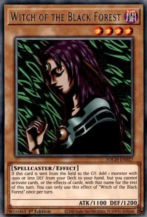 Witch of the Black Forest — Toon Chaos