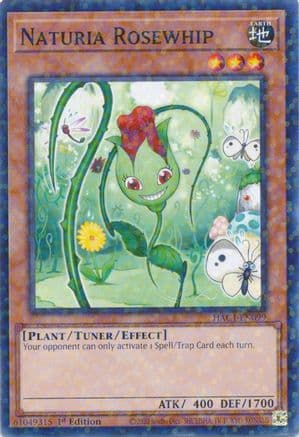 Naturia Rosewhip (Duel Terminal) — Yu-Gi-Oh! card