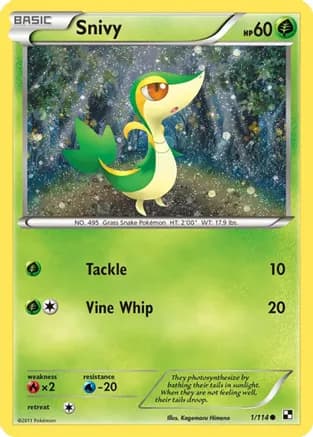 Snivy - 1/114 (Cosmos Holo) — Miscellaneous Cards & Products