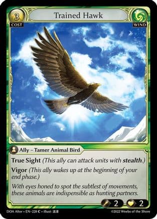 Trained Hawk — Dawn of Ashes Alter Edition