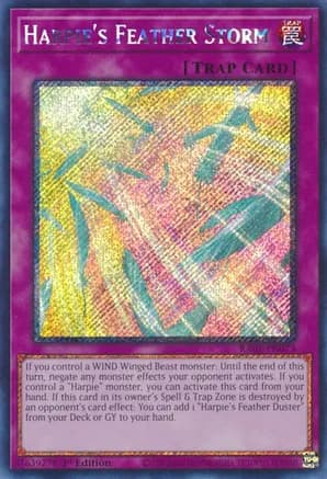 Harpie's Feather Storm (Platinum Secret Rare) — 25th Anniversary Rarity Collection