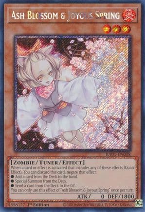 Ash Blossom & Joyous Spring (Platinum Secret Rare) — 25th Anniversary Rarity Collection Yu-Gi-Oh! card by Shueisha