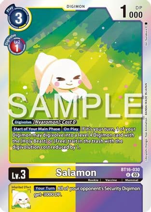 Salamon — Beginning Observer