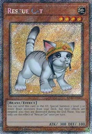 Rescue Cat (Alternate Art) (Platinum Secret Rare) — 25th Anniversary Rarity Collection II