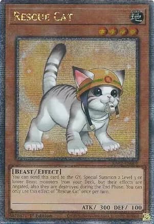 Rescue Cat (Alternate Art) (Quarter Century Secret Rare) — 25th Anniversary Rarity Collection II