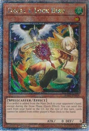 Droll & Lock Bird (Alternate Art) (Quarter Century Secret Rare) — 25th Anniversary Rarity Collection II