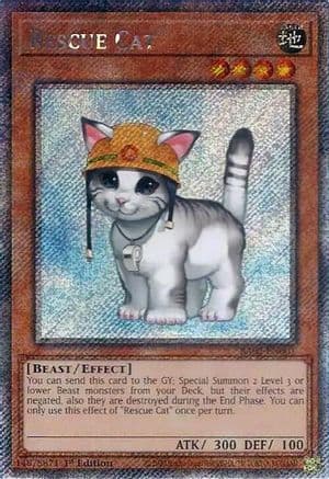Rescue Cat (Platinum Secret Rare) — 25th Anniversary Rarity Collection II