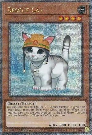 Rescue Cat (Quarter Century Secret Rare) — 25th Anniversary Rarity Collection II