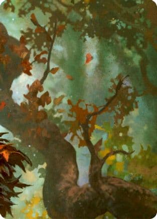 Sanctuary of Aria // Florian, Rotwood Harbinger (Top right) — Rosetta