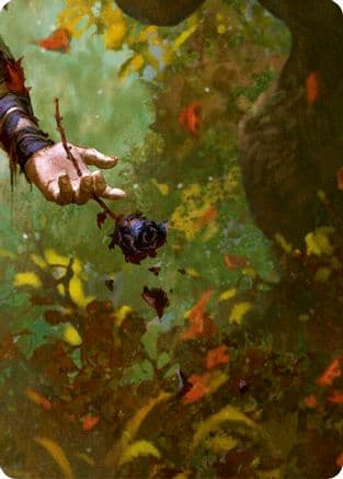 Sanctuary of Aria // Florian, Rotwood Harbinger (Middle right) — Rosetta