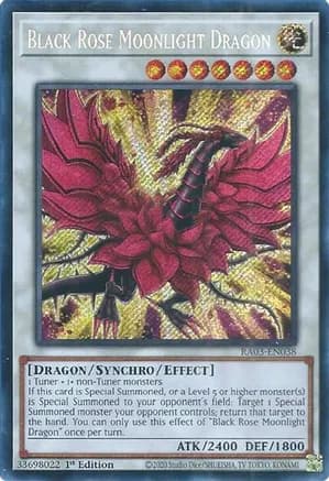 Black Rose Moonlight Dragon (Secret Rare) — Quarter Century Bonanza