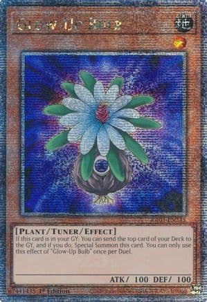 Glow-Up Bulb (Quarter Century Secret Rare) — Quarter Century Bonanza