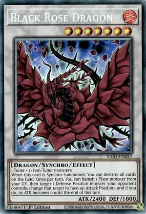 Black Rose Dragon (PCR) — Quarter Century Stampede