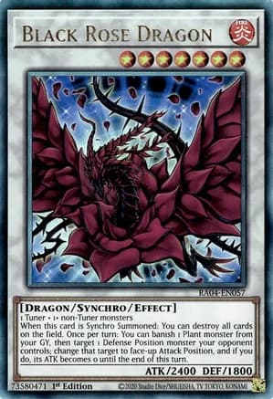 Black Rose Dragon (PUR) — Quarter Century Stampede
