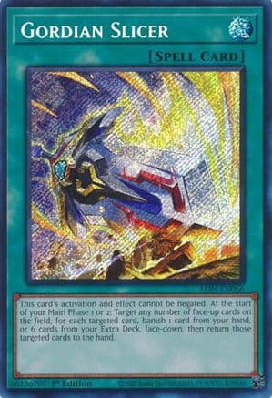 Gordian Slicer — Alliance Insight