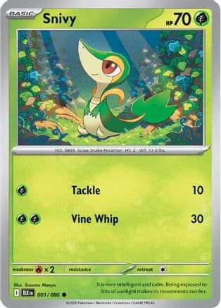 Snivy — SV: Black Bolt Pokémon TCG card by Susumu Maeya