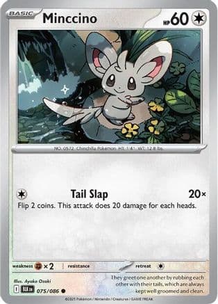 Minccino — SV: Black Bolt Pokémon TCG card by Ayako Ozaki