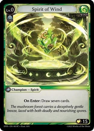 Spirit of Wind — Distorted Reflections