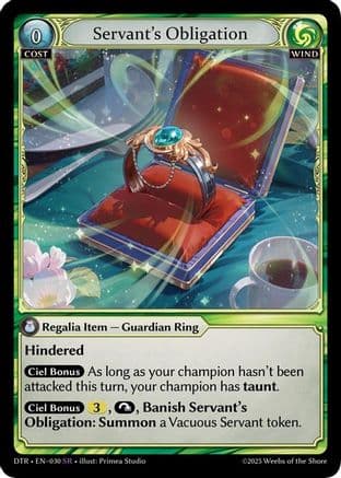 Servant's Obligation — Distorted Reflections