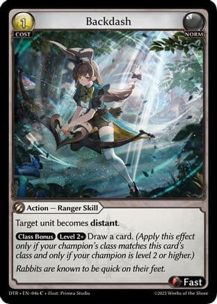 Backdash — Distorted Reflections