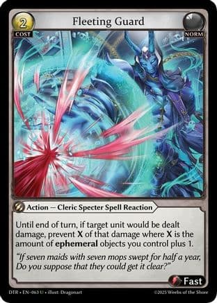 Fleeting Guard — Distorted Reflections