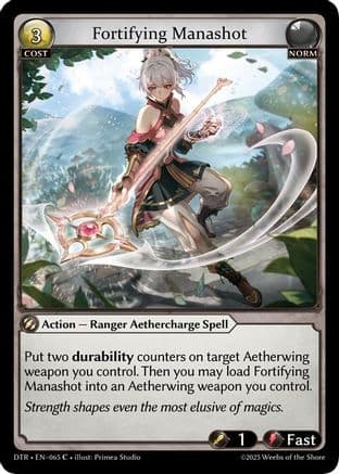 Fortifying Manashot — Distorted Reflections