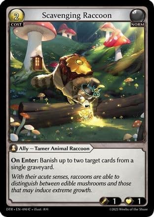 Scavenging Raccoon — Distorted Reflections