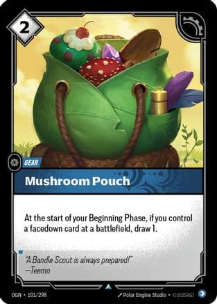 Mushroom Pouch — Origins